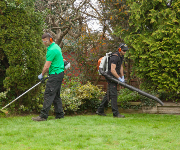 garden-maintenance-services-featured