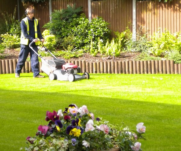 landscaping-themes-wordpress-ground-care